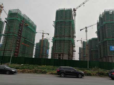 客戶案例